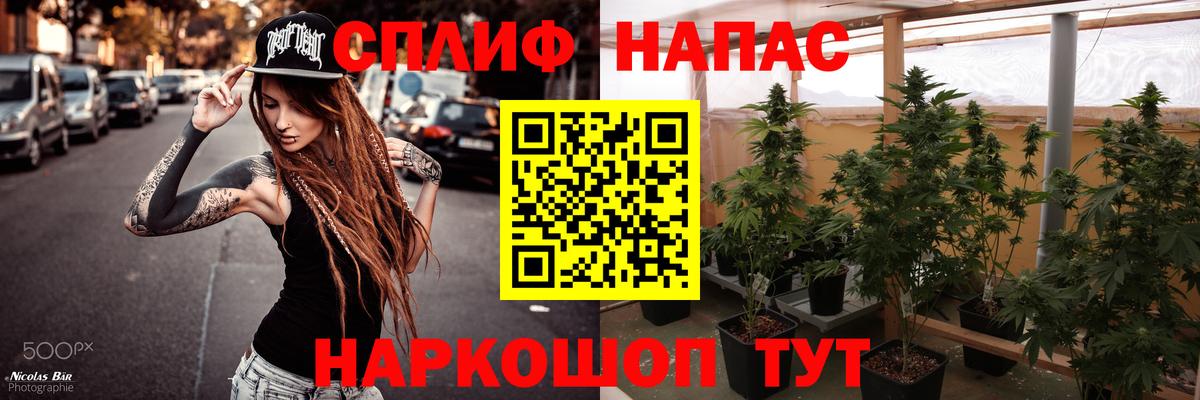 Каннабис ГИДРОПОН Барнаул
