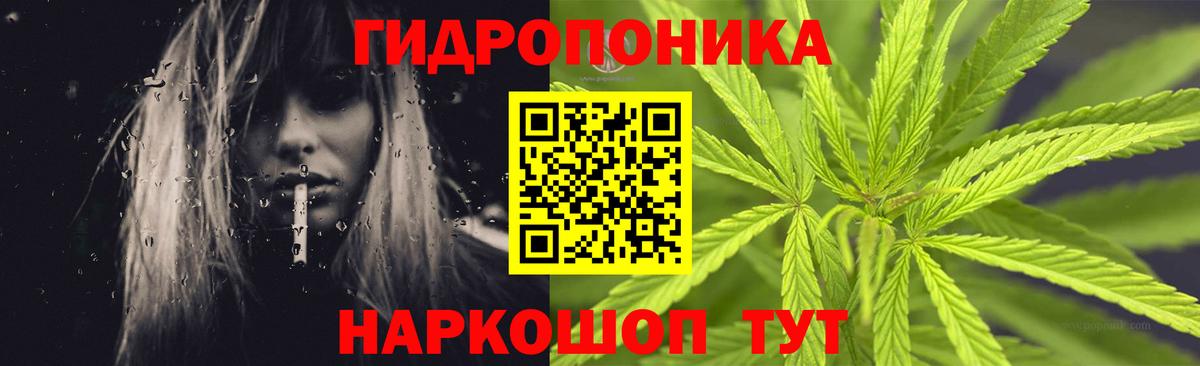 Каннабис тримм  Канабис планчик  Вход с VPN  Барнаул  Канабис индика 